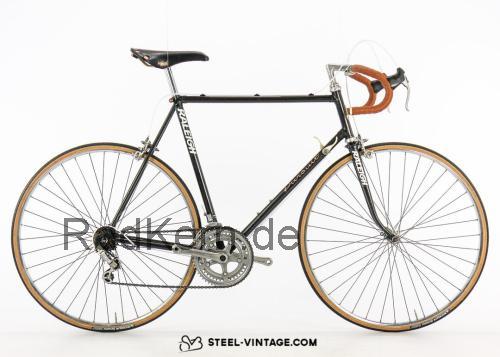 Raleigh Pursuit  technische daten 